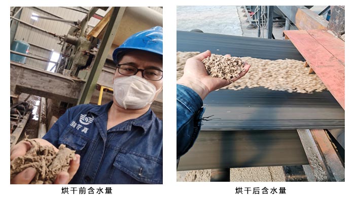 紙漿烘干前后 紙漿烘干前后